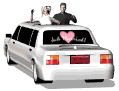 Casamiento -41.gif